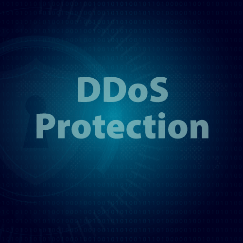 DDoS Protection