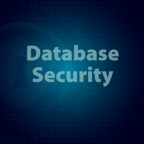 Database Security